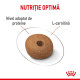 Royal Canin Medium Light Weight Care Adult – Hrană Uscată pentru Câini de Talie Medie cu Tendință de Îngrășare – 12 kg
